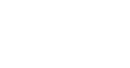 Medici Developments Logo
